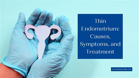 Understanding Thin Endometrium: Causes, Effects on Fertility, and.